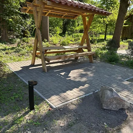 Kiefer -ferienwohnung In Mit Waldblick Appartamento *