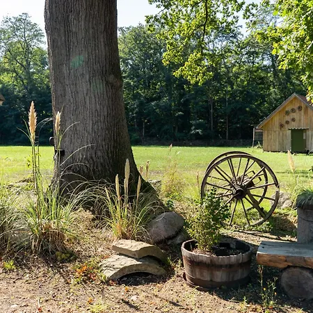 Kiefer -ferienwohnung In Mit Waldblick Apartamento