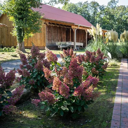 Kiefer -ferienwohnung In Mit Waldblick Апартаменты