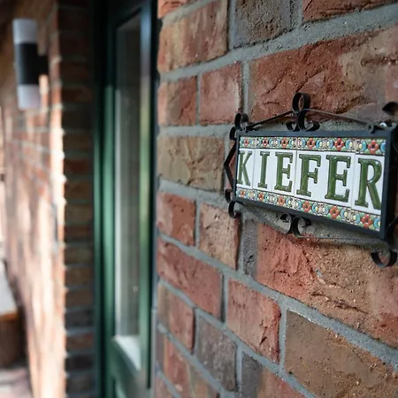 Kiefer -ferienwohnung In Mit Waldblick Dotlingen