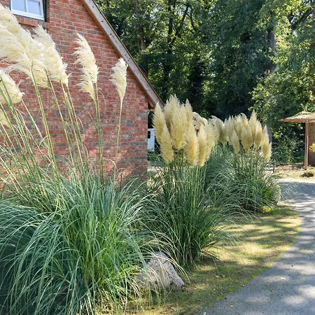 Апартаменты Kiefer -ferienwohnung In Mit Waldblick *