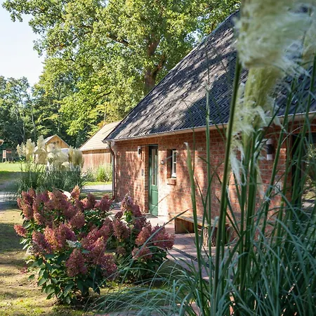 Kiefer -ferienwohnung In Mit Waldblick Dotlingen