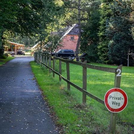 Kiefer -ferienwohnung In Mit Waldblick
